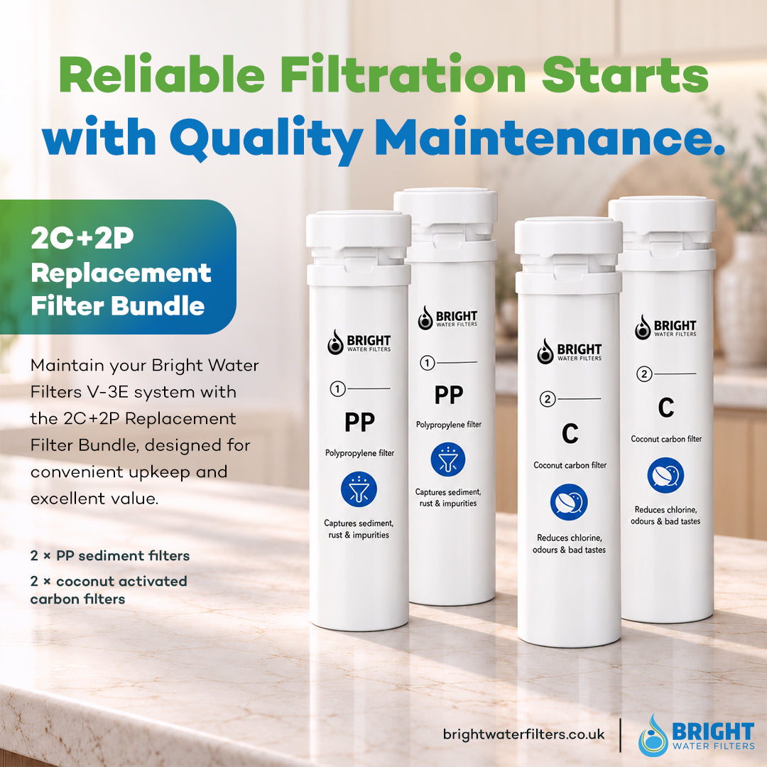 Bright Water Filters - V-3E Replacement Filter Cartridges – 4-Pack, 2 Polypropylene + 2 Carbon
