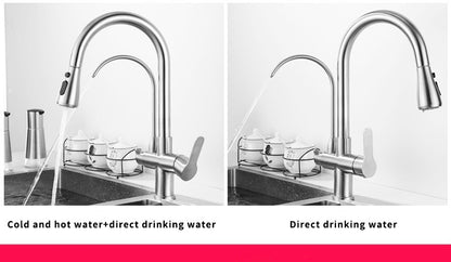 Bright Water Filters - 3-Way Pull-Out Filtered Water Tap – Brushed Chrome, 360° Swivel